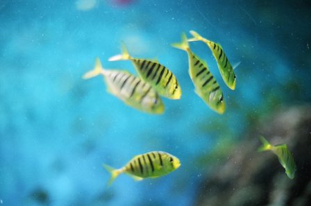 微信重口味男生昵称