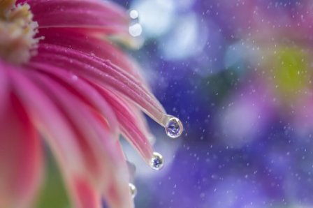 关于失败的励志句子