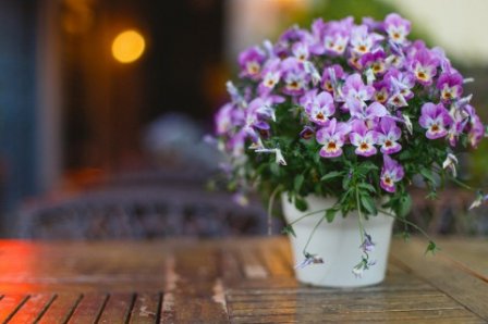 痛苦悲伤的微信个性网名