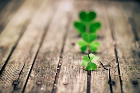 关于宽容的优美句子