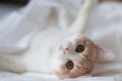 适合做签名的英文句子