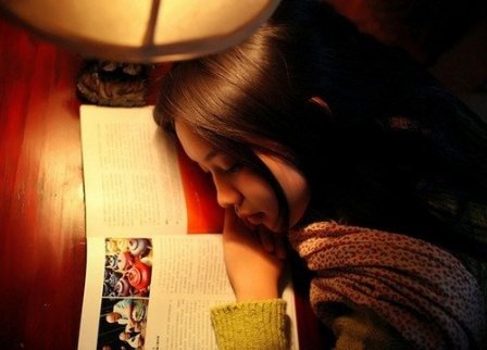 关于不相信爱情的说说