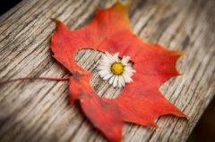 快毕业的伤感长篇说说 即将毕业的说说