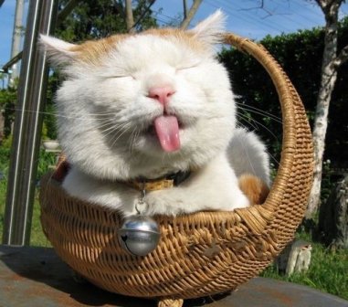 快毕业的伤感长篇说说