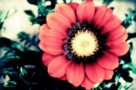 时光飞逝的优美句子