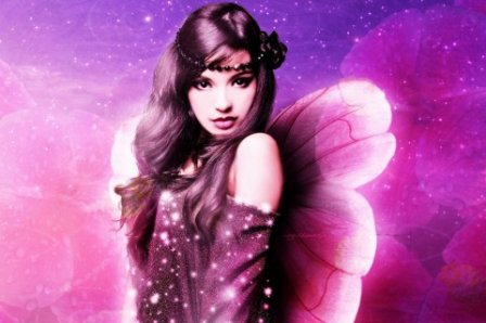 经典赞美蝴蝶的说说