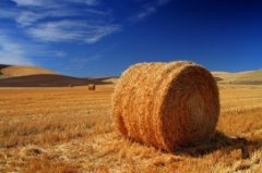 有内涵的表白句子