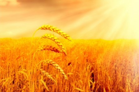 qq签名高考励志篇