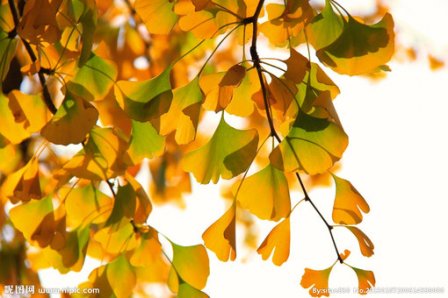 qq签名高考励志篇