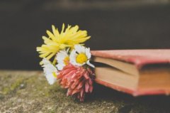 心情烦躁郁闷的个性说说 心情烦躁易怒的句子