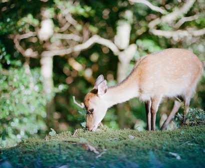 失恋的伤感说说