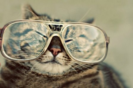 最无语的个性搞笑说说