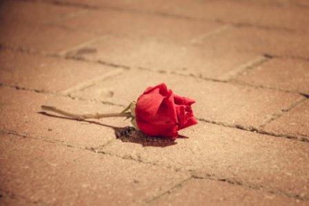 关于两个人的爱情说说