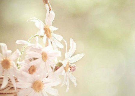 奋斗人生励志的句子