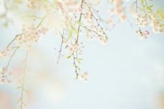 无奈的个性说说 无奈的个性签名