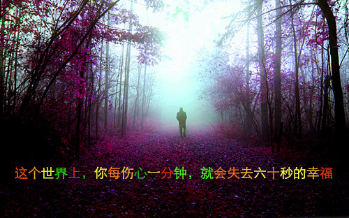 表示流泪的句子