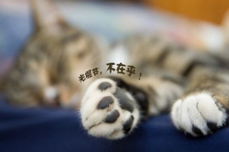 史上最牛的搞笑说说