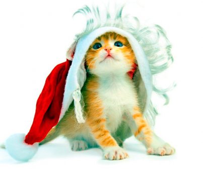 史上最牛的搞笑说说