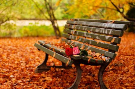 爱情心有灵犀的句子