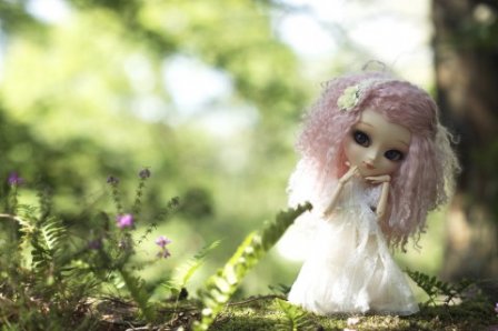 分享正能量的句子