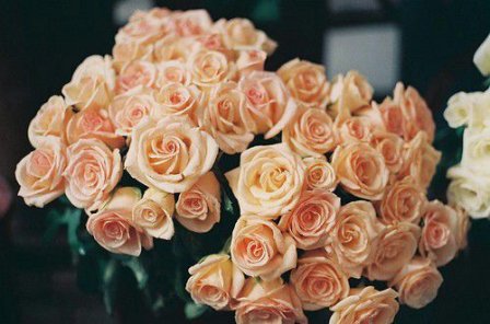 分享正能量的句子