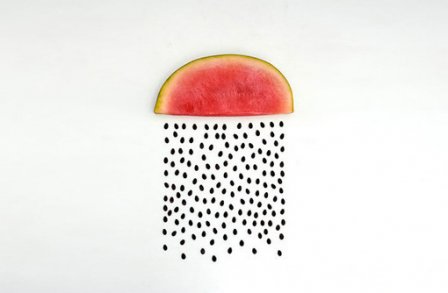 禅语感悟人生的句子