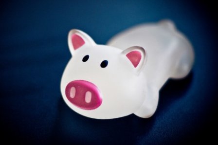 小强精神励志句子