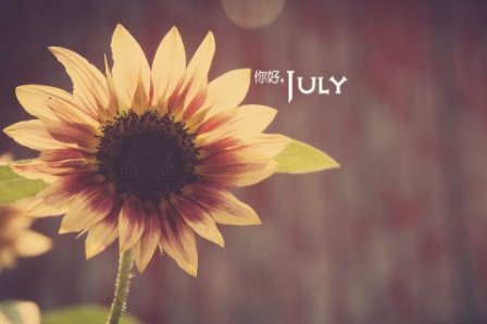 小强精神励志句子