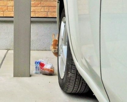 花落成殇伤感句子