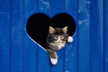 关于贪婪的优美句子