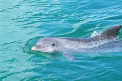 心情压抑的心情说说 心情不好说说心情短语