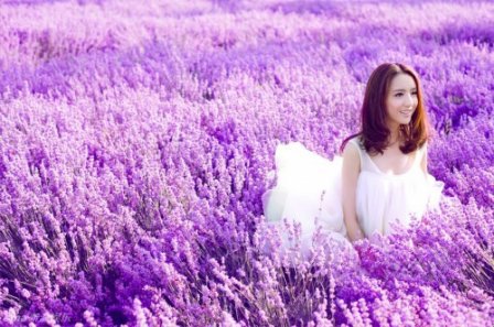 写告别的唯美散文句子