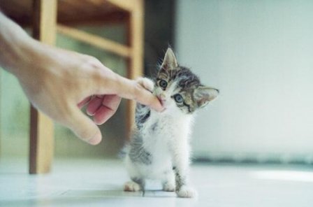 死亡的唯美句子