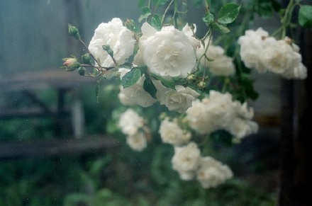 表白的搞笑句子