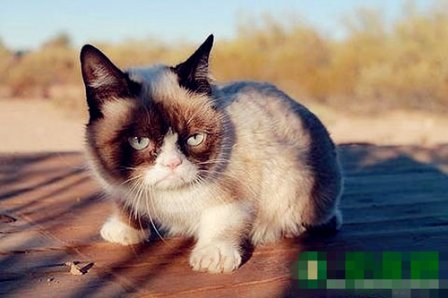 带爽字的女生网名