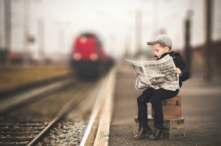 描写花的优美句子