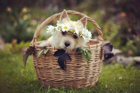 生气的优美句子