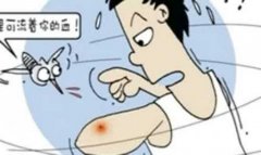 关于蚊子的空间说说 被蚊子咬的经典说说