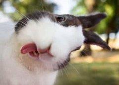 自恋的搞笑说说 搞笑又特自恋的说说