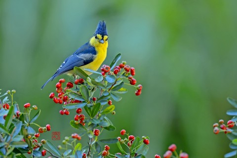 三年的回忆的说说