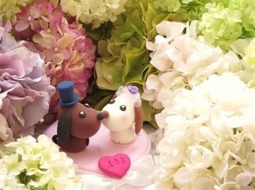 感恩的说说心情