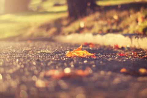 早晨的阳光说说