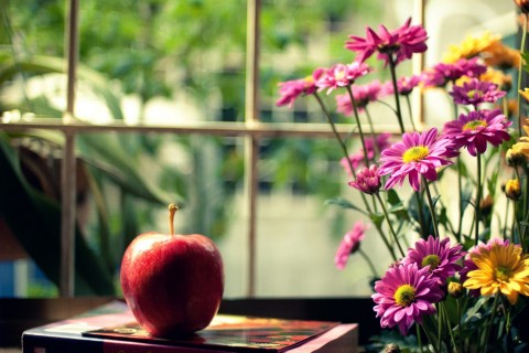 端午节回不了家的说说