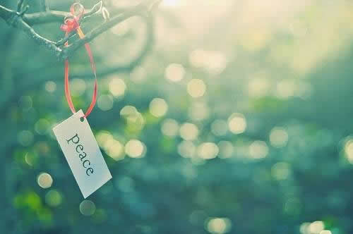 描写城市风景的句子