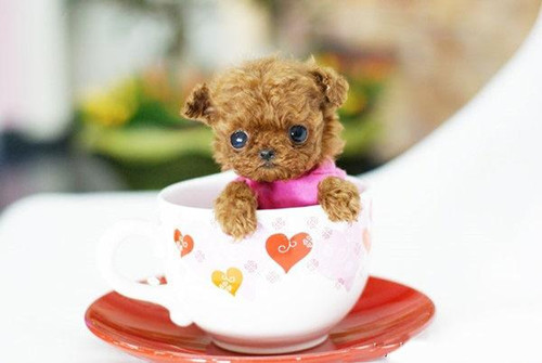 关于民族的友谊格言