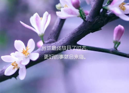早教老师的格言