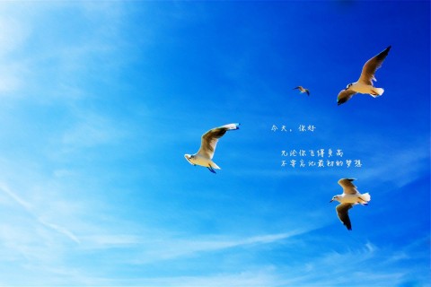 鼓励老公的经典语句