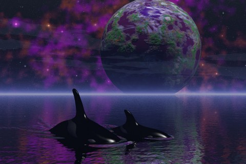 爱国的古诗和名人名言