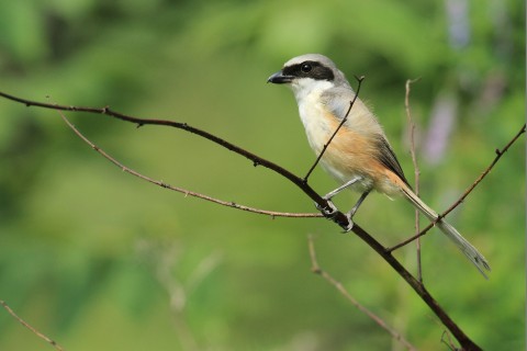 关于时间与人生的格言警句