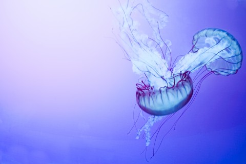 有关帮助的唯美句子